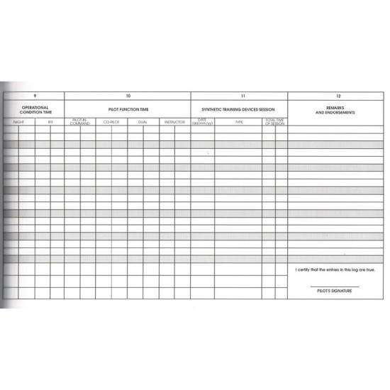 JEPPESEN PROFESSIONAL EUROPEAN LOGBOOK .050