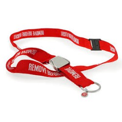 Remove Before Flight Key Cord Remove Before Flight Key Cord